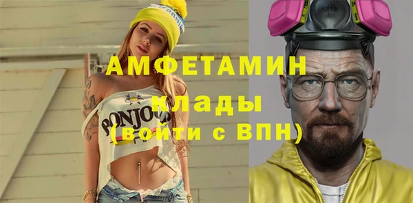 амф Алексин