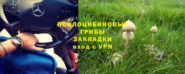 амф Алексин